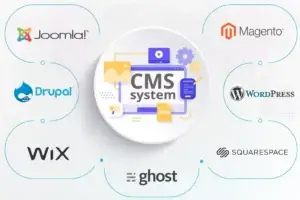 מה זה CMS?